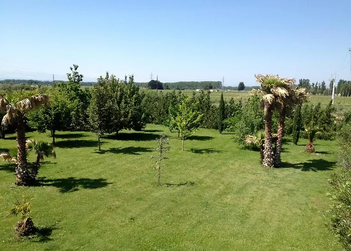 Domaine De L'aumone *